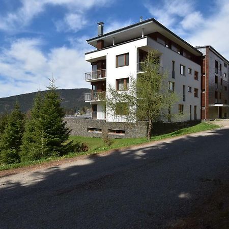 Apartmany Michael Špindlerŭv Mlýn المظهر الخارجي الصورة